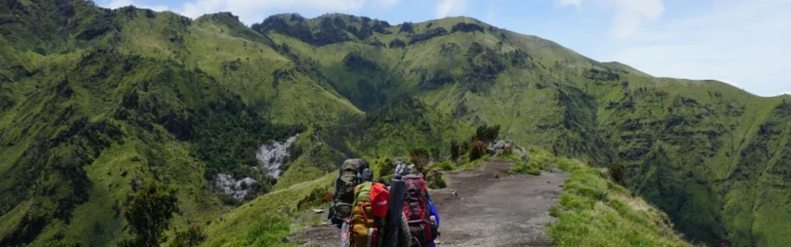 Ultimate Guide to Hiking and Scenic Spots in San Francisco