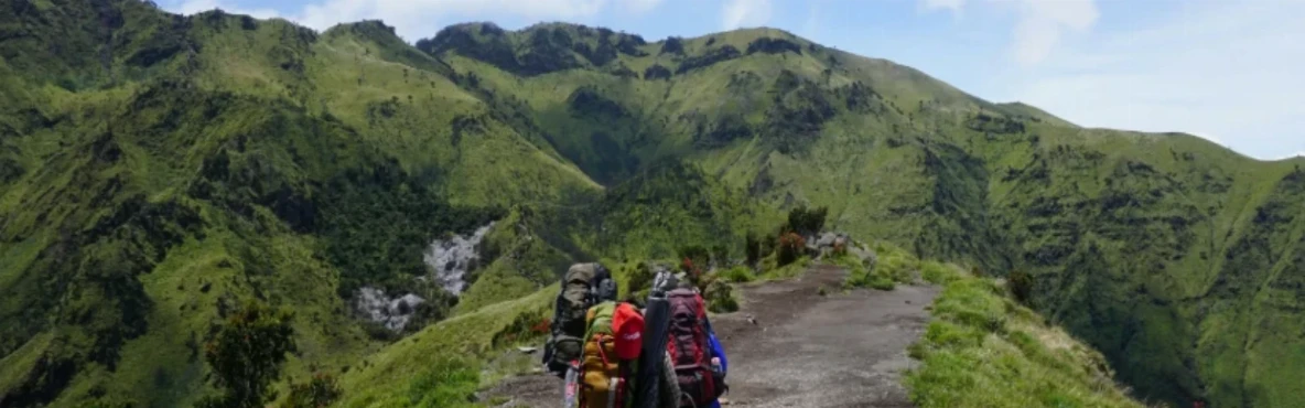 Ultimate Guide to Hiking and Scenic Spots in San Francisco