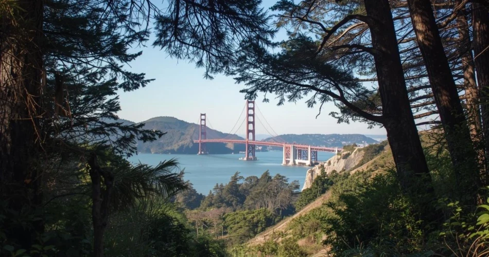 Ultimate Guide to Hiking and Scenic Spots in San Francisco