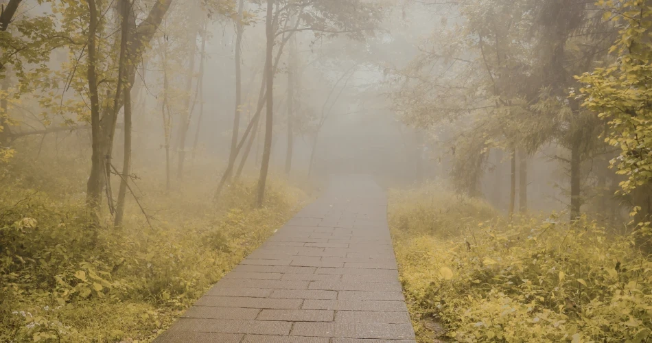 Ultimate Guide to Hiking and Scenic Spots in San Francisco
